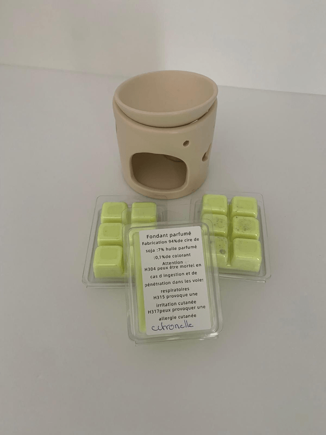 Fondant pour éloigner les moustiques